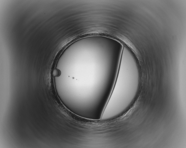 X0000096180834200801180848