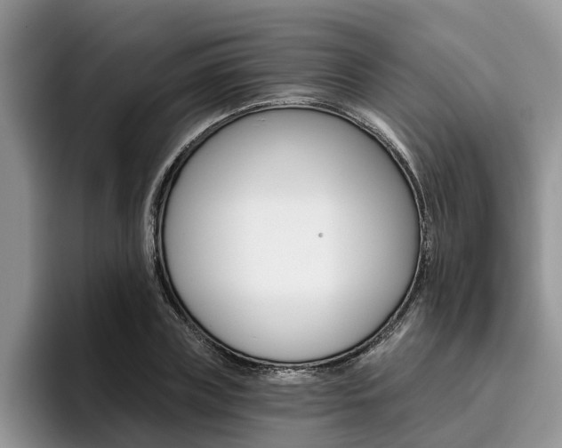 X0000096180835200801180848
