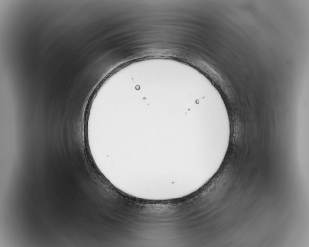 X0000096180836200801180848