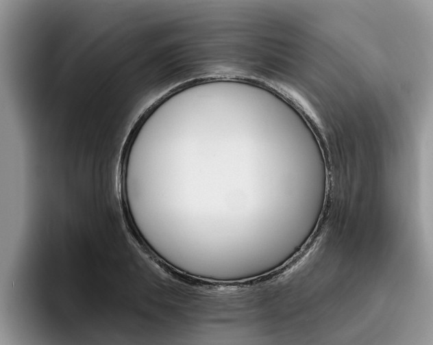 X0000096180839200801180848