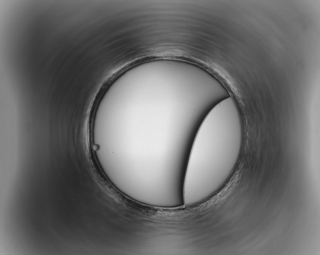 X0000096180840200801180848