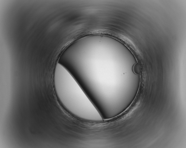 X0000096180841200801180848