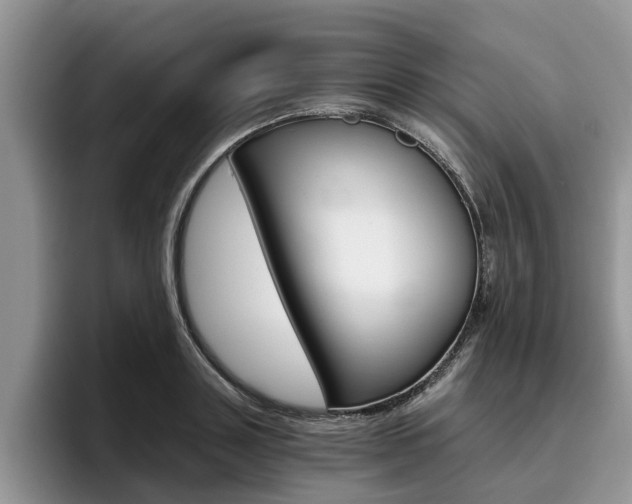 X0000096180843200801180848