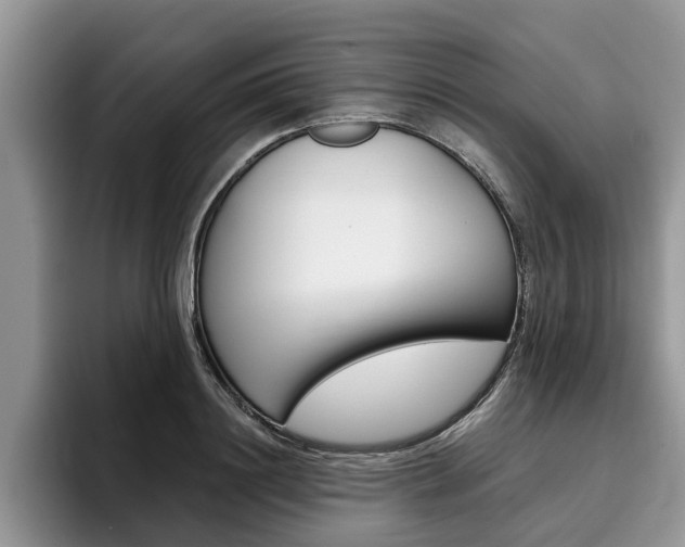 X0000096180844200801180848
