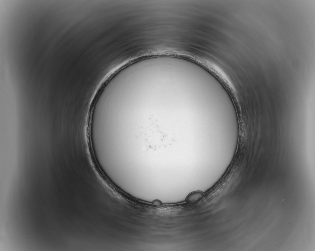 X0000096180847200801180848