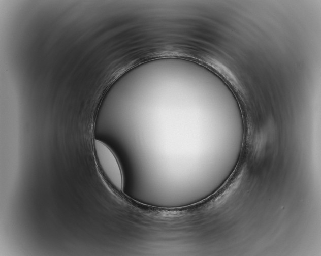 X0000096180849200801180848