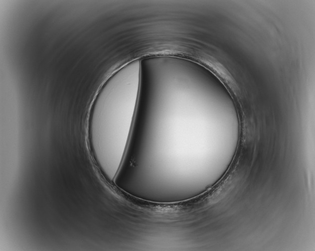 X0000096180850200801180848