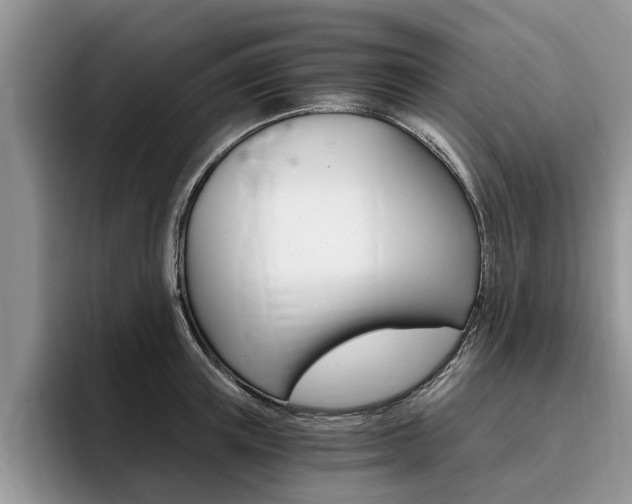X0000096180851200801180848