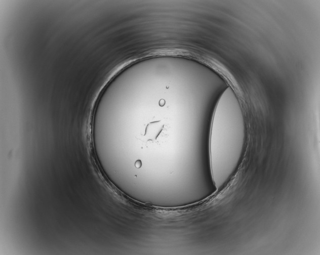 X0000096180852200801180848