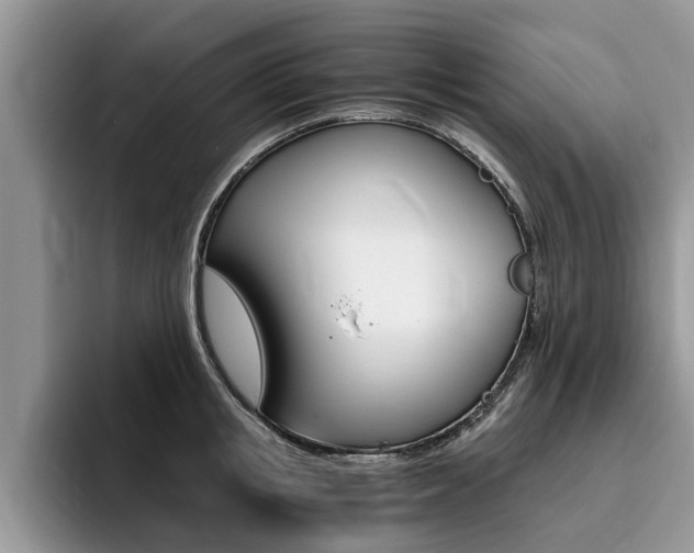 X0000096180853200801180849