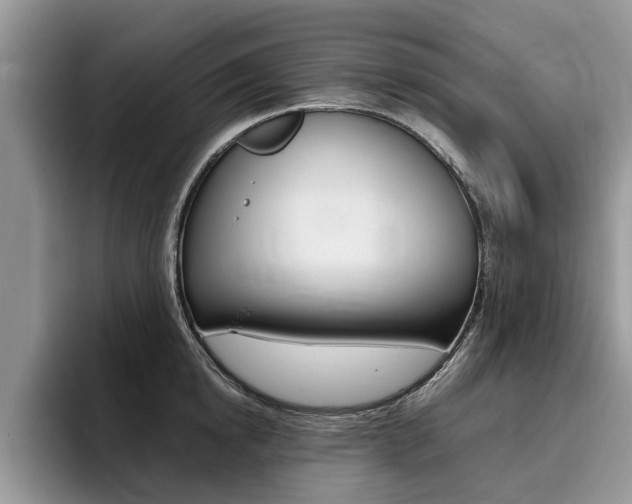 X0000096180854200801180849