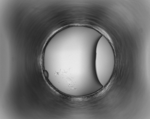 X0000096180855200801180849