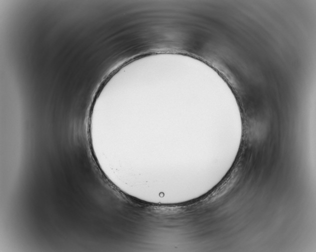 X0000096180856200801180849