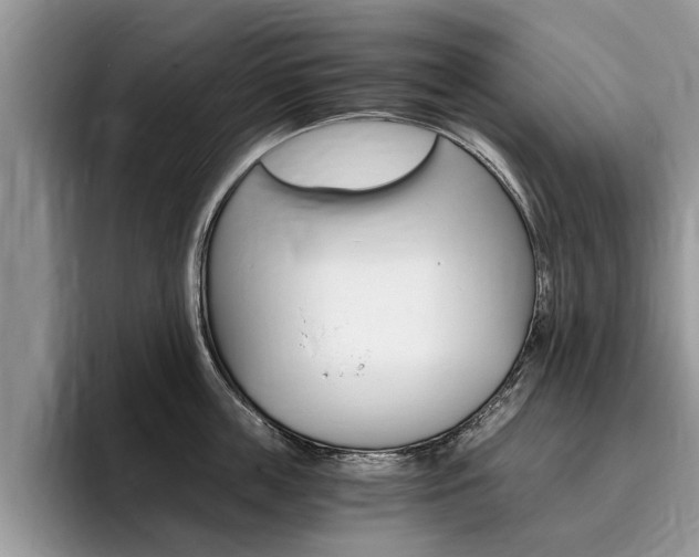 X0000096180859200801180849