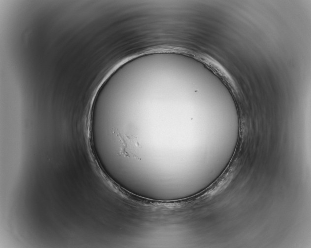 X0000096180860200801180849