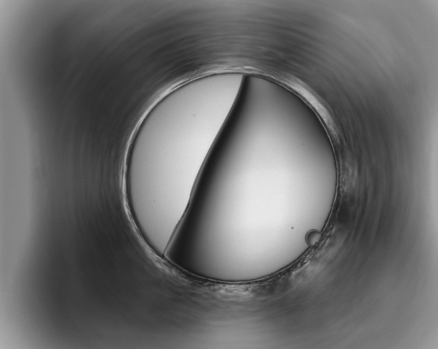 X0000096180861200801180849