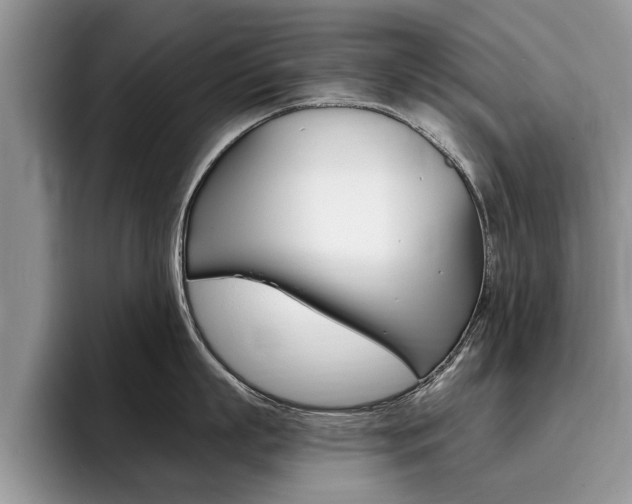 X0000096180863200801180849