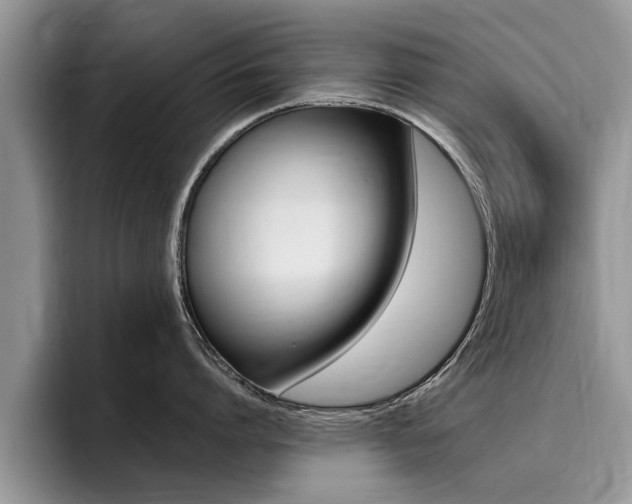 X0000096180864200801180849