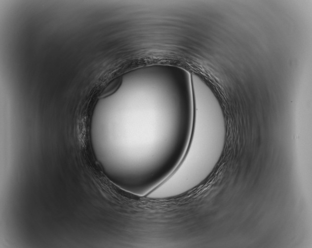 X0000096180868200801180848