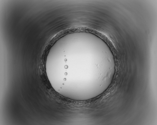 X0000096180871200801180848