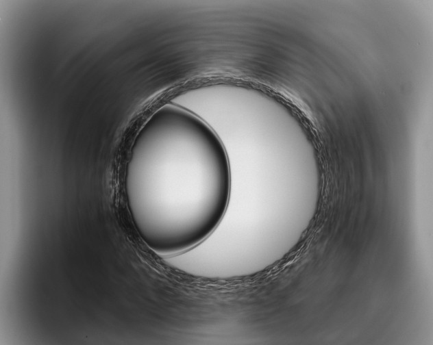 X0000096180872200801180848