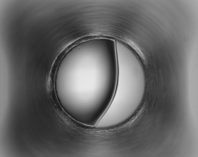 X0000096180876200801180848