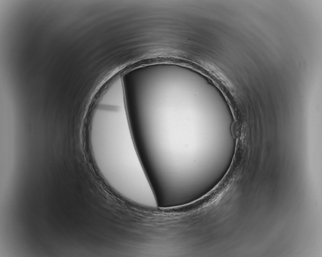 X0000096180877200801180848