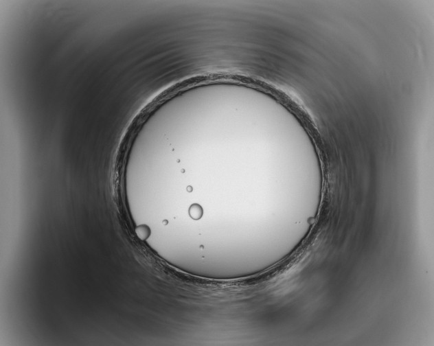 X0000096180879200801180848