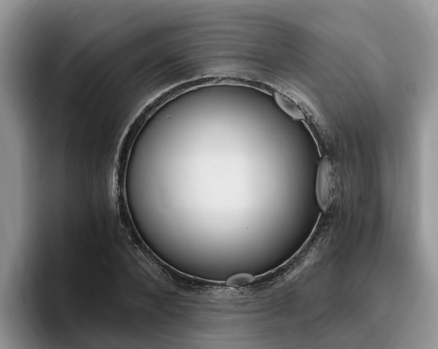 X0000096180880200801180848