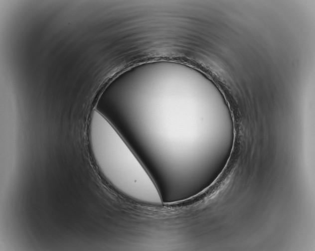 X0000096180881200801180848