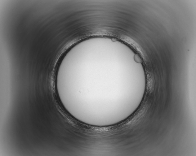 X0000096180882200801180848