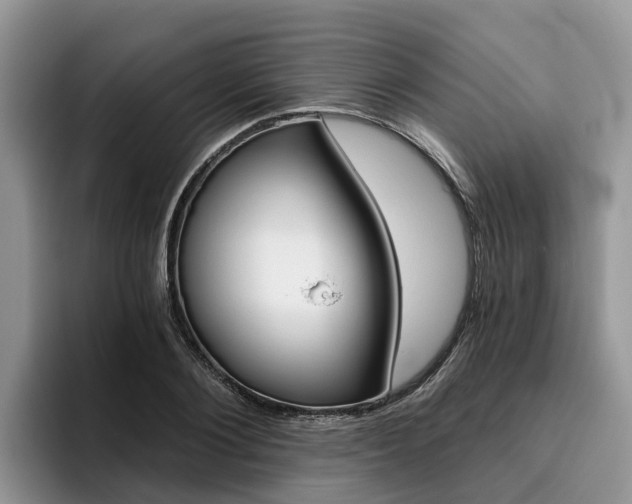 X0000096180884200801180848