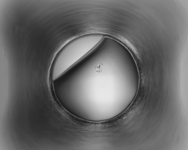 X0000096180885200801180848