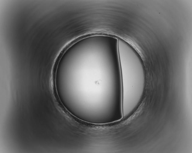 X0000096180888200801180848