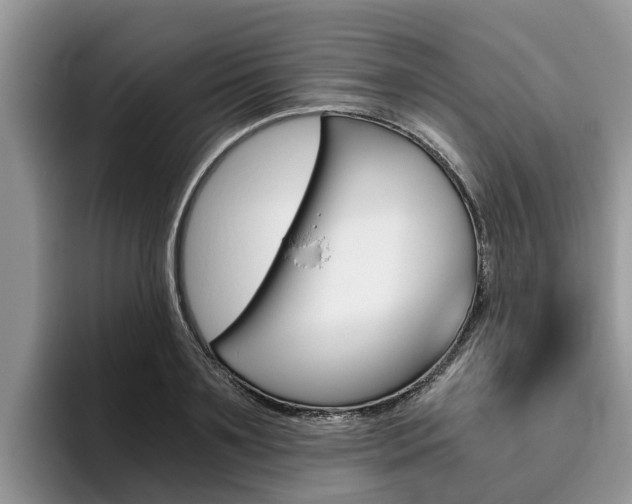 X0000096180891200801180848