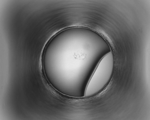 X0000096180892200801180848