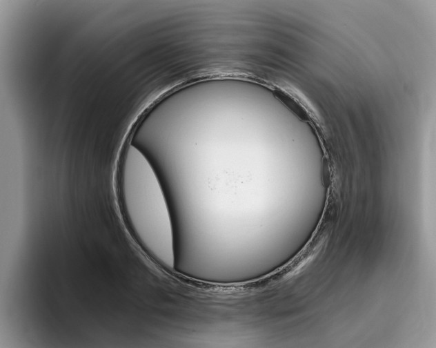 X0000096180893200801180848