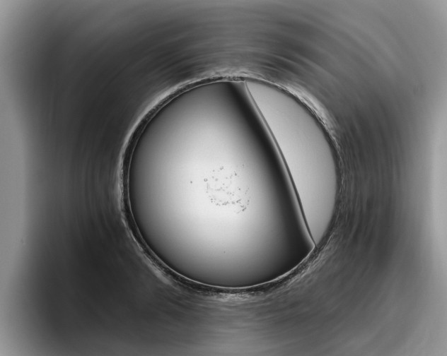 X0000096180894200801180848