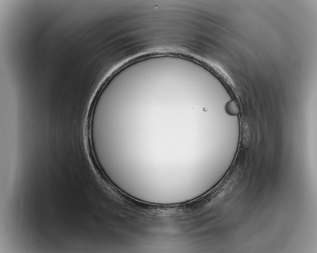 X0000096180895200801180848