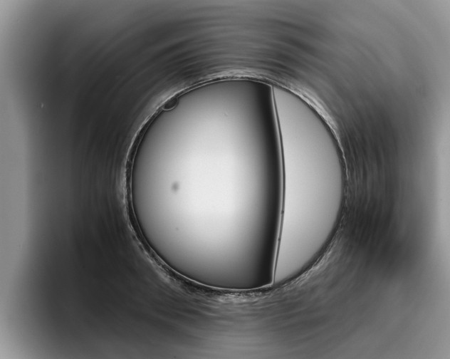 X0000096180898200801180848
