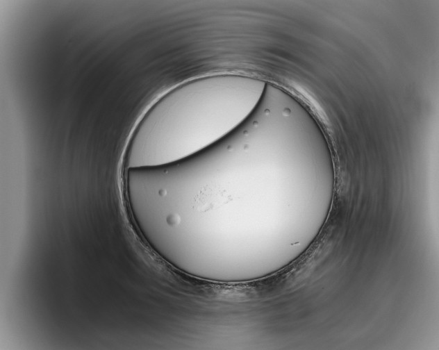 X0000096180899200801180848