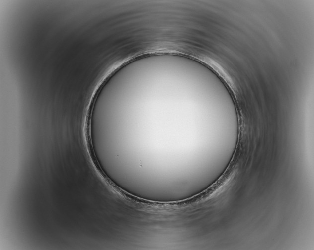 X0000096180901200801180848