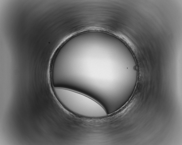 X0000096180902200801180848