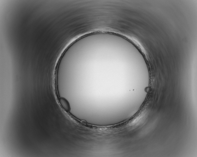 X0000096180903200801180848