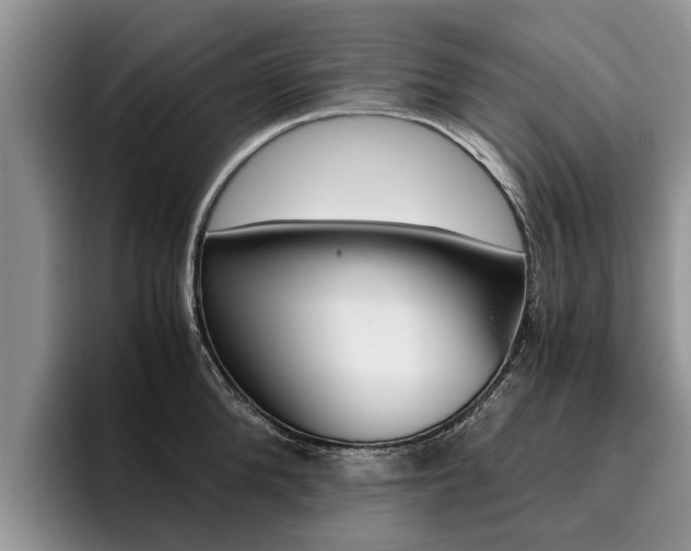 X0000096180904200801180848