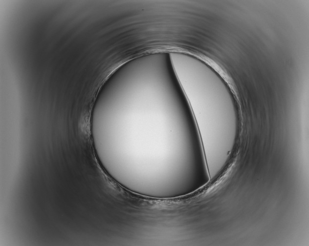 X0000096180905200801180848