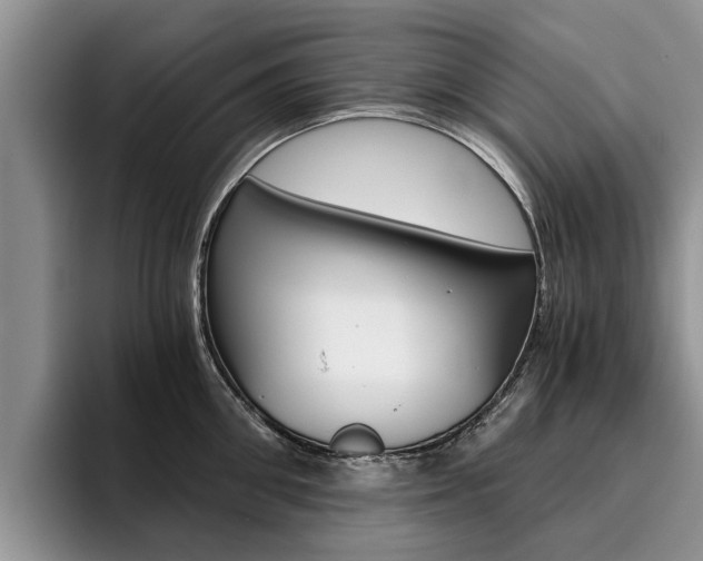 X0000096180906200801180847