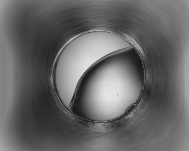 X0000096180908200801180847
