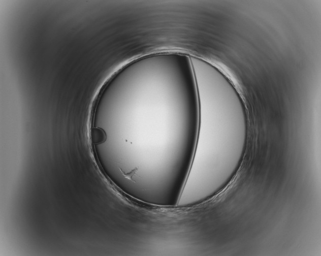 X0000096180910200801180847