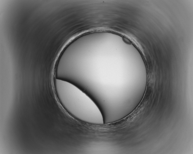 X0000096180911200801180847